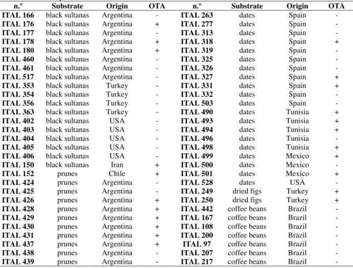 Table  1  -  Isolates  of  the  Aspergillus  niger  aggregate  analysed  in  this  study
