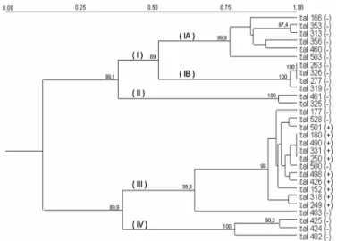 Figure 2 - Dendrogram of 29 isolates of Aspergillus niger aggregate based on cluster analysis with  UPGMA method using Dice genetic similarity index on RAPD data obtained with three  primers