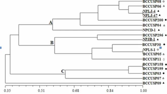 Figure  3  -  Clustering  dendrogram  of  Microcystis  spp.  strains  by  UPGMA  analysis  of  similarity  matrix  data  using  18  OTUs  (operational  units  taxonomic),  and  Jaccard’s  coefficient