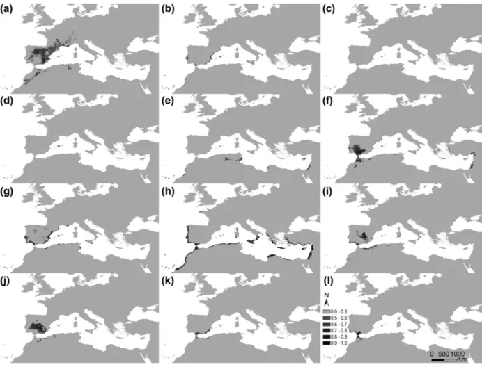 Figure 5. Potential distribution areas for Ononis taxa of subsections Natrix (a)–(e) and Viscosae (f–l): (a) O