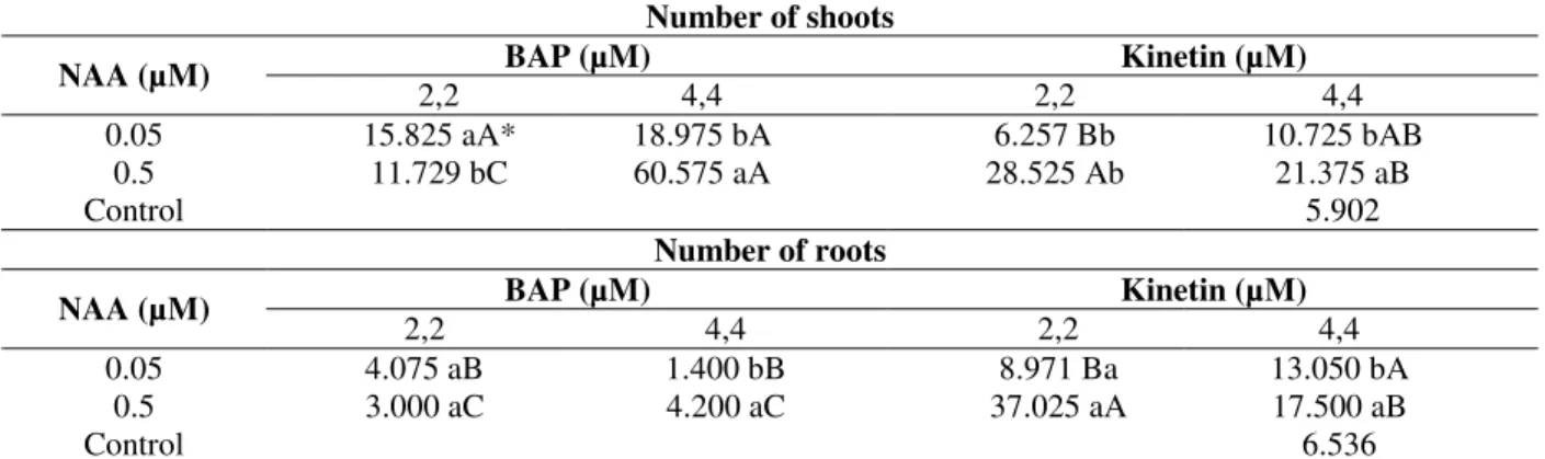 Table  1  - Number of adventitious shoots and of roots in the  micropropagation of caroá [N