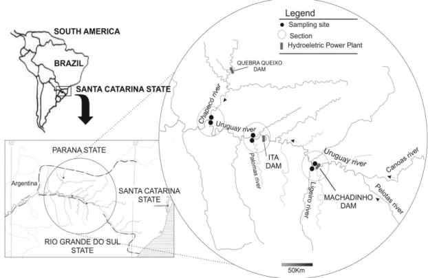 Figure 1 - Map of the Upper Uruguay river with the location of the sampling sites.  