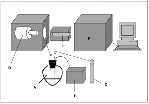 Figure 1 - Schematic diagram of the hydride generation apparatus. A, Hg-vapour generation flask  (reaction vessel); B, peristaltic pump; C, nitrogen source; D, mercury lamp; E, heating  device; F, absorption tube