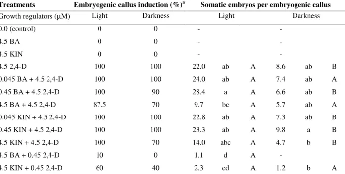 Table 1 - Effect of different types and concentrations of growth regulators on induction of embryogenic callus and  somatic embryos of yacón (Smallanthus sonchifolius) in the presence or absence of light