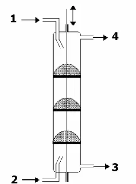 Figure 1 - Extraction micro-column with pulsed caps: (1) Pineapple juice inlet (continuous phase); 