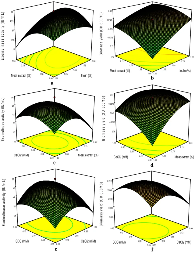 Figure  1  -  Three-dimensional  contour  plots  showing  the  effect  of  (a)  inulin  and  meat  extract  on  exoinulinase activity (b) inulin and  meat extract on biomass  yield (c) calcium chloride and  meat extract on exoinulinase activity (d) calcium
