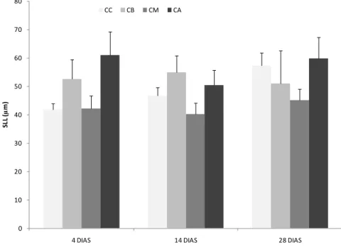 Figura 6  –  Variação do comprimento da lamela secundária (SLL) para os diferentes  grupos (CC: concentração controlo; CB: concentração baixa; CM: concentração média; 