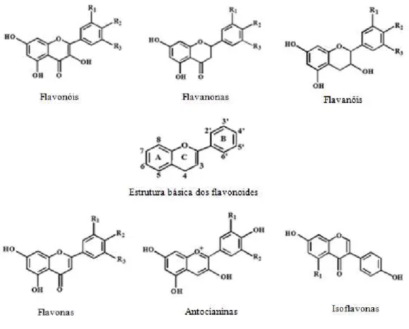 Figura 2 - Estrutura química de algumas classes de flavonoides (adaptado de Pandey e Rizvi, 2009)