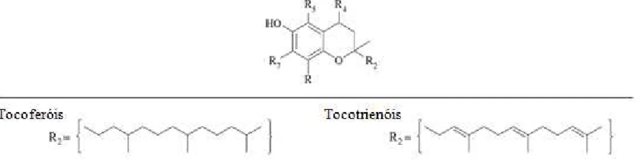 Figura 4 - Estrutura química genérica dos tocoferóis (adaptado de Gülçin, 2012). 