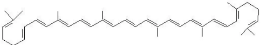 Figura 5 - Estrutura química do licopeno (retirado de http://www.infoescola.com/bioquimica/licopeno)
