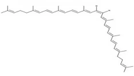 Figura 7 - Estrutura química do trans-licopeno (adaptada de  http://www.uv.mx/eneurobiologia/vols/2013/8/Herrera/HTML.html)