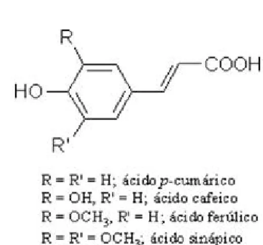 Figura 1 - Estruturas dos principais ácidos hidroxibenzóicos. 