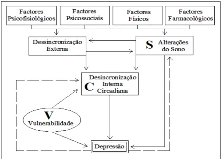Figura 1: Modelo VSC da Etiopatogenia da Depressão (Azevedo et al., 1994. Retirado de Moniz, 2007) 