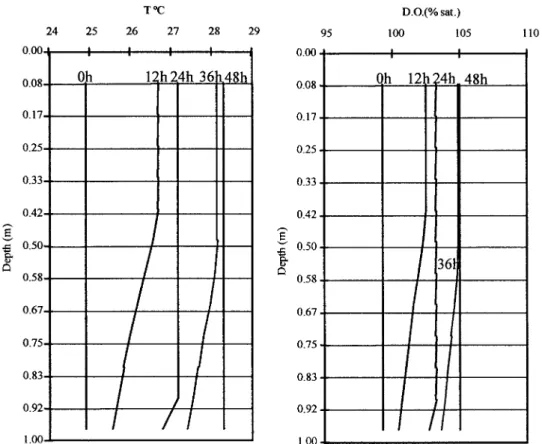 Figure 4. Model results: Temperature and dissolved oxygen distribution across the 12 model layers after 12, 24, 36 and 48 hours since the beginning of the simulation