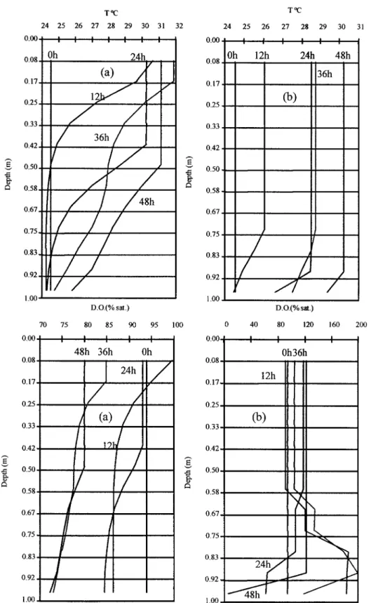 Figure 5. Model results: Temperature and dissolved oxygen distribution across the 12 model layers after 12, 24, 36 and 48 hours since the beginning of the simulation