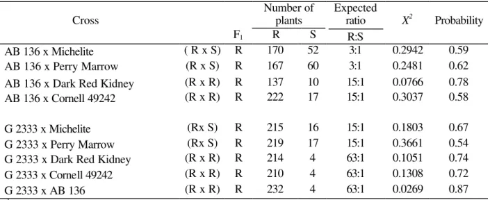 Table 3  - Cross, number of plants evaluated and expected phenotypic ratios in the F 2   population for  resistance to race 453 of Colletotrichum lindemuthianum  (b) 