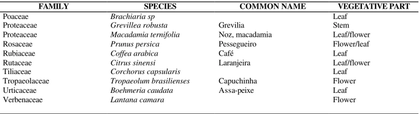 Table 2 -  (cont.) List of plant species from the Campus of the State University of Londrina, Londrina, PR, Brazil,  assayed for the presence of cyanogenic glycosides 