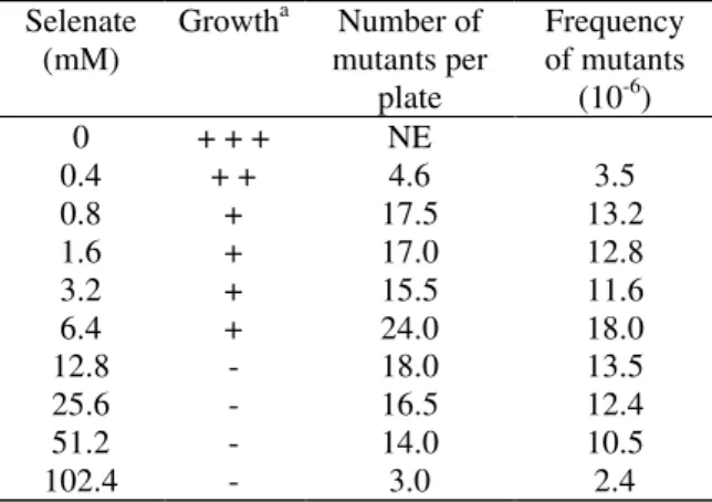 Table 1: Growth and frequency of possible spontaneous mutants in MMS- containing different concentrations  of  selenate  and  10 mg.L -1  of   D,L-methionine (1.33 x 10 6  c.f.u./plate) Selenate (mM) Growth a Number of mutants per plate Frequencyof mutants