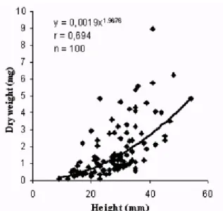 Figure 3  - Regression curve between height and  number of polyps of E. glomeratum. 