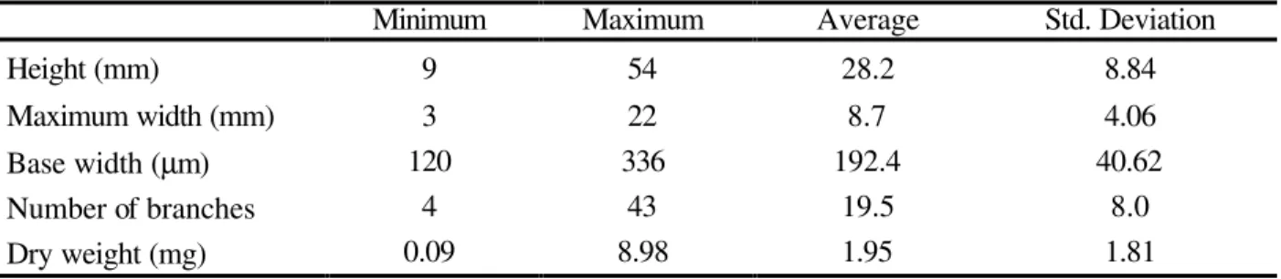 Table 1 - Morphometrical results from the study of 100 colonies of E. glomeratum. 