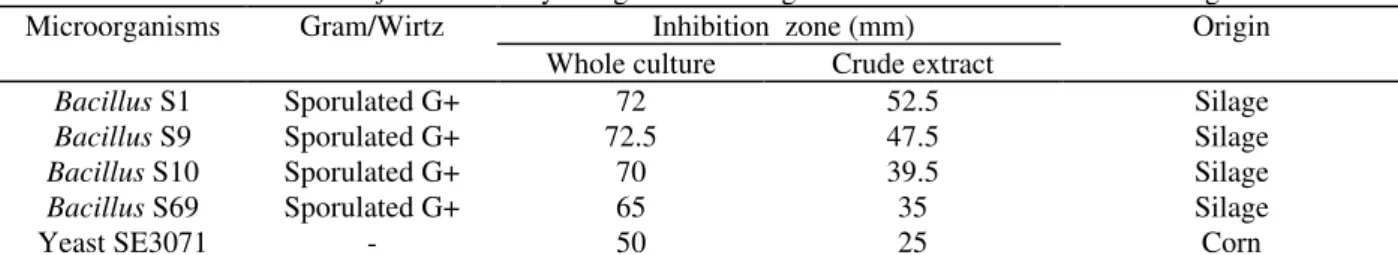 Table 1 - Inhibition of F.moniliforme 113F by antagonic microorganisms isolated from corn and silage.