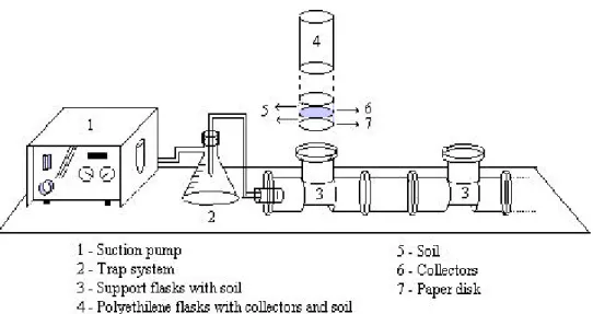 Figure 2 -  Suction system with collectors in contact with soil