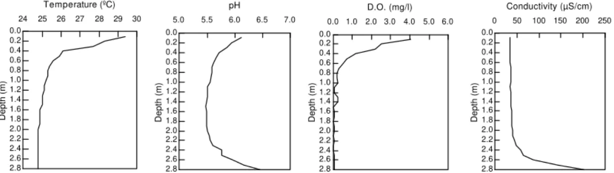 Figure 2 - Vertical profiles of temperature, pH, dissolved oxygen concentration and conductivity obtained at depth intervals of 0.1m in Lake Massacará, during high water (April/1996).