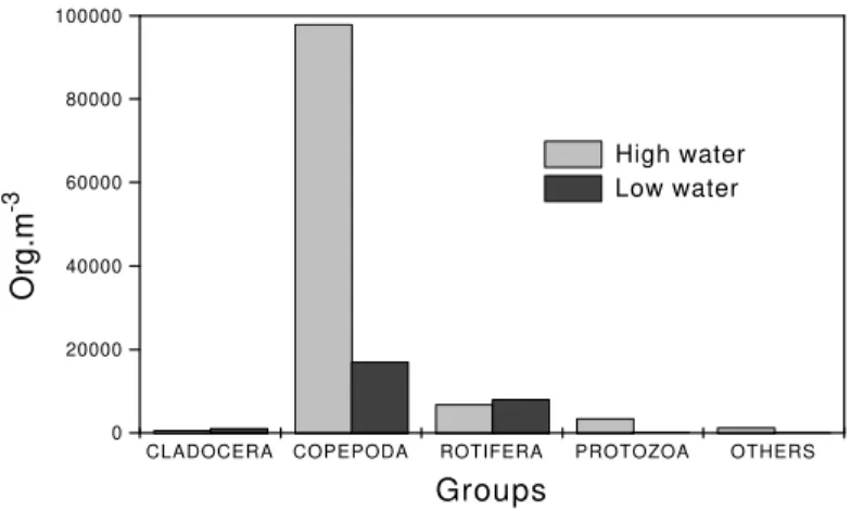 Figure 4 - Total density (organisms.m -3 ) of the principal groups of zooplankton during the periods of high and low water in 1996.