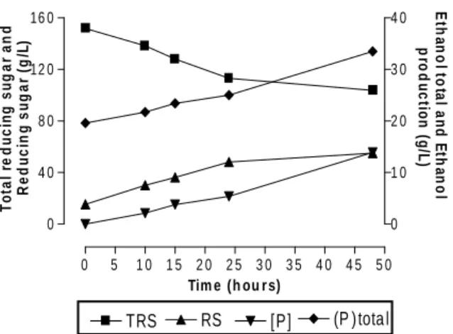 Figure 2. Influence of  SOD (5 mL/L) on batch fermentation of sugar cane juice medium added with 25 mL/L of ethanol by Z