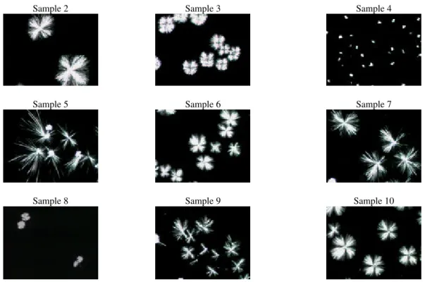Figure 2 - Digitalized images of the crystals for the samples at a crystallisation temperature of 35°C.