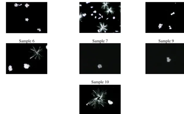 Figure 3 - Digitalized images of the crystals for the samples at a crystallisation temperature of 40°C.