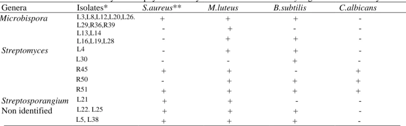 Table   2 - Antimicrobial activity of endophytic actinomycetes isolated from Zea mays against bacteria and yeast.