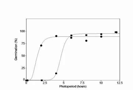 Figure 2 - Effect of photoperiod on germination of seeds of Miconia theaezans incubated at 27.5 