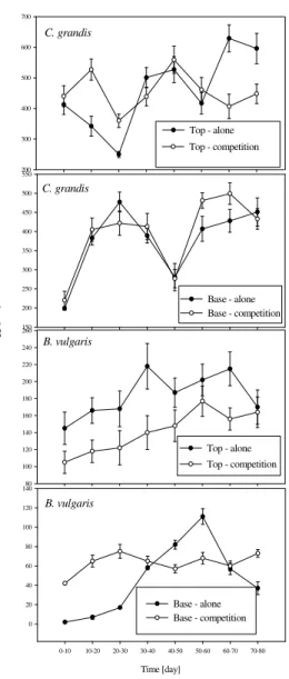 Figure 1 - Egg production per female of C. grandis and B. vulgaris maintained alone and in  competition with E