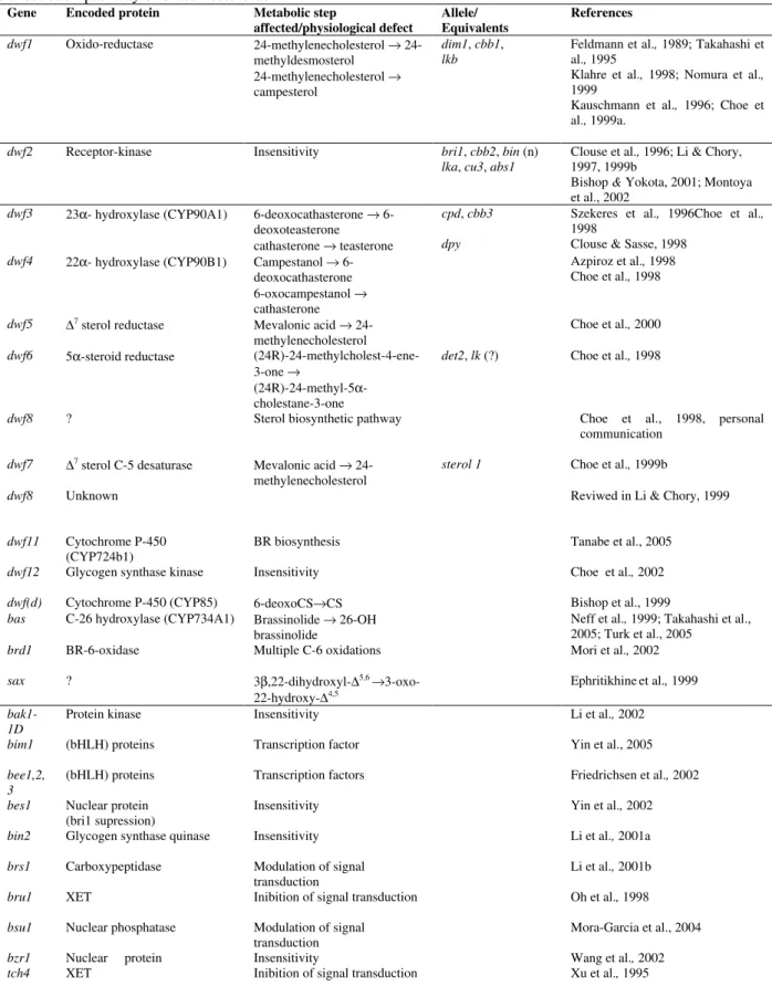 Table  1  -  Summary  of  the  available/proposed  informations  for  genes  involved  in  the  biosynthesis  or  signal  transduction pathway of brassinosteroids 
