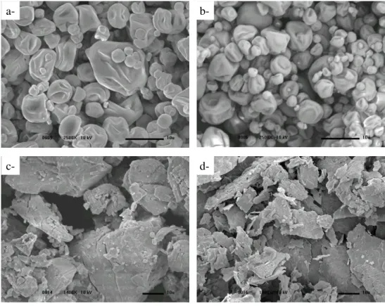 Figure 1 - SEM micrographs of microcapsules: a- spray-dried gum arabic:sucrose (8:2) , b- spray- spray-dried  gum  arabic:sucrose  (8:2)  +  lycopene,  both  with  magnification  of  2500x,  c-  freeze-dried β -CD,  d-  freeze-dried  lycopene- β -CD  compl