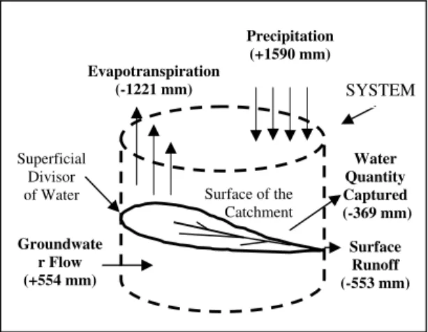 Figure 7 - Annual water balance of the Ribeirão da Onça riber catchment for the Period from 1998 to 2000 
