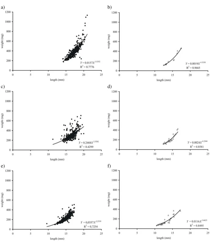 Figure  4  -  Length-weight  relationship  among  dorado  (Salminus  brasiliensis)  post-larvae  in  different treatments after six days of cultivation