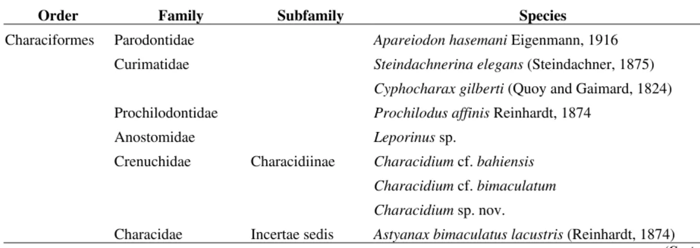Table 01 - List of order, families, subfamilies and species of fish caught in upper Rio Paraguaçu