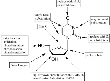 Figure 6 - Sites for chemical modification of pyrimidine nucleosides, using 2’deoxyuridine as a model