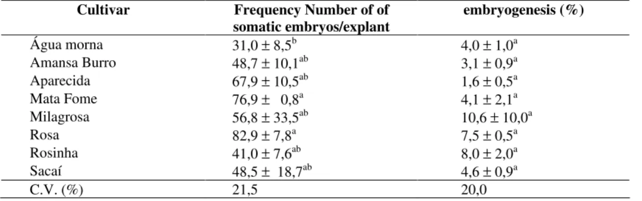 Table  2  –  Induction  of    secondary  embryogenesis  from  shoot  apexes  isolated  from  shoots  sprouted  from  stem  cuttings, in eight varieties of cassava (Manihot  esculenta Crantz)