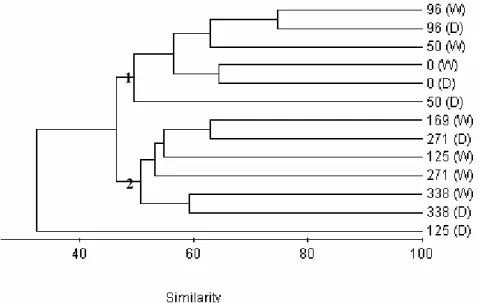 Figure 2 - Clustering on fish assemblages: Group 1: sites upstream the major industrial plant of  Volta Redonda (km 0 to 125); Group 2: sites downstream  Volta Redonda (km 125 to  338); and site km 125 in dry season (isolated branch)