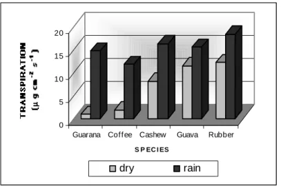 Figure 1 – Transpiration for the studied tropical species during the dry and rainy seasons