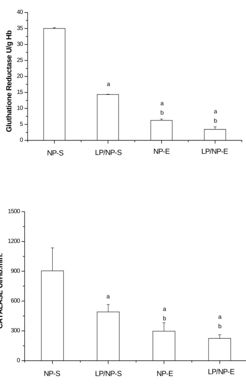 Figure  3  -  Blood  Glutathione  Reductase  and  Catalase  activity  after  60  days  of  protein  restriction  followed  by  nutritional  recovery  associated  or  not  to  exercise  for  30  days