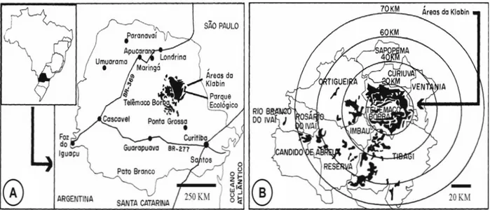 Figure 1 - Location of the Ecological Klabin Park, on Monte Alegre Farm- Telêmaco Borba, PR,  where  the  studied  species  is  found  (A)
