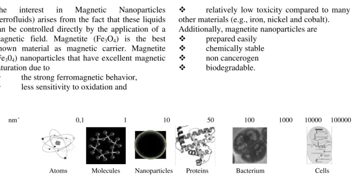 Figure 1 - The figure depicts the sizes of nanoparticles in relation to other biological objects