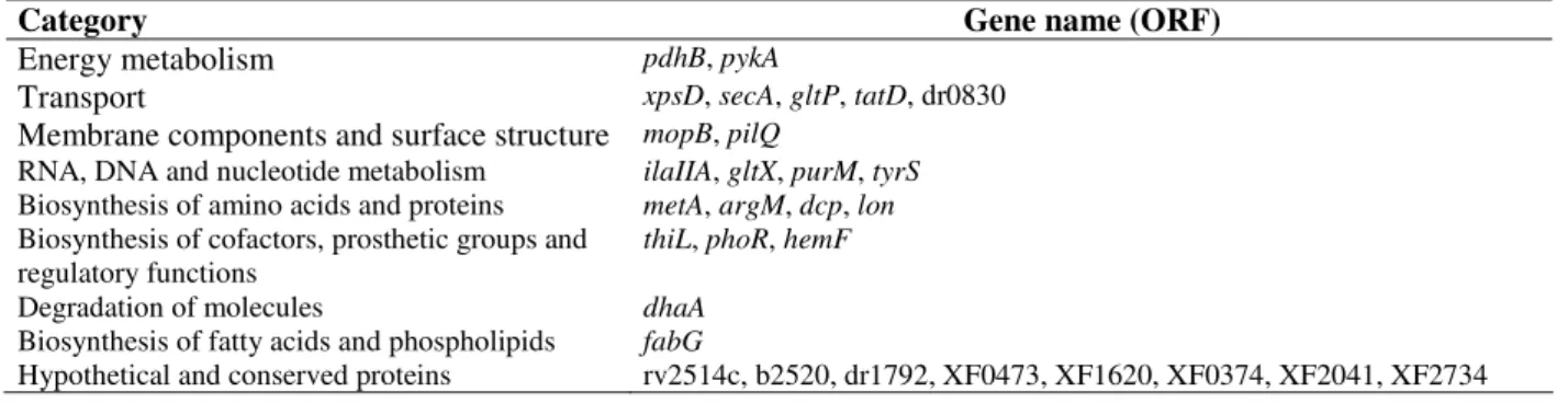 Table 4 - Xylella fastidiosa genes induced in BCYE media. 