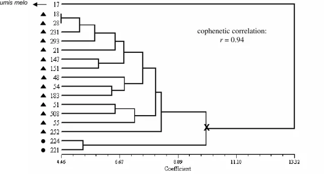 Figure  2  -  Dendrogram  showing  the  clustering  of  16  squash  accessions  based  on  morphophysiological data (Euclidean distances, UPGMA method)