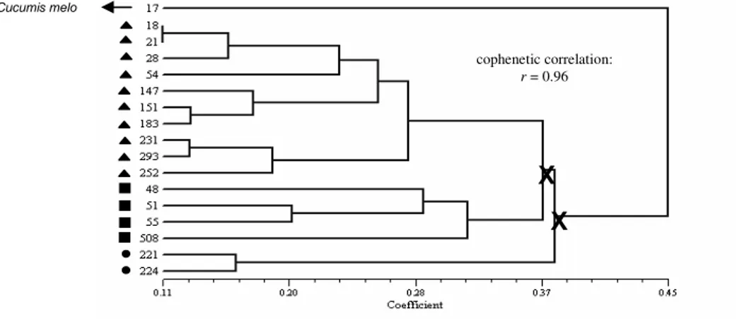 Figure 5 - Dendrogram of 16 squash accessions according to UPGMA analysis of combined data  sets (Gower’s distance (1971))
