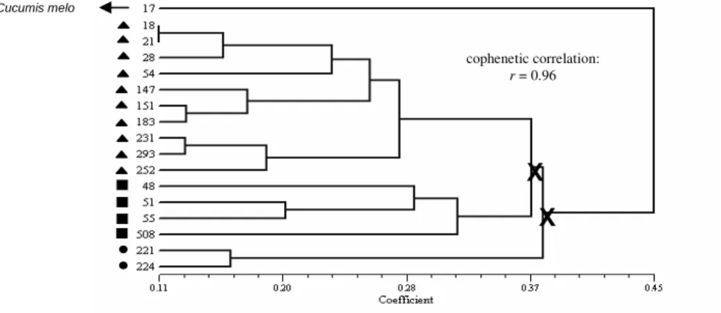 Figure 5 - Dendrogram of 16 squash accessions according to UPGMA analysis of combined data  sets (Gower’s distance (1971))
